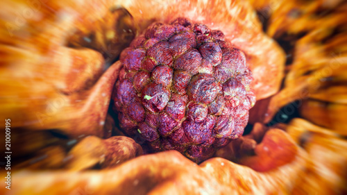 Fotografía Cancer Cell - 3D Rendering