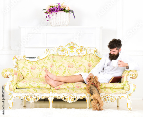 Man sleepy in bathrobe drinks coffee in luxury hotel in morning, white background. Man with beard and mustache enjoys morning while sitting on old fashioned sofa and play with pet dog. Pets concept. photo