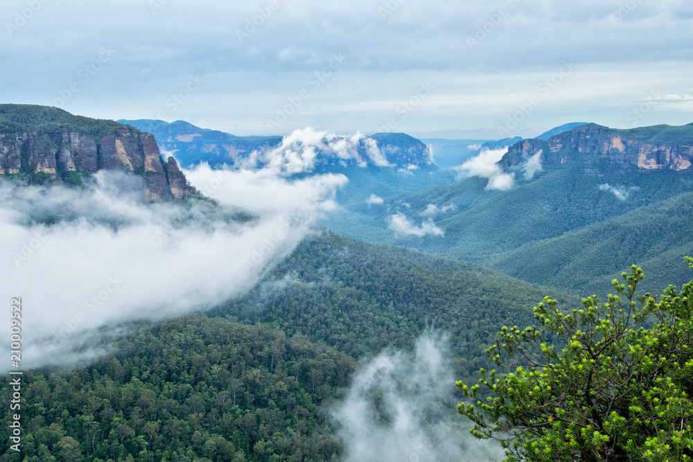 Cliff Top Track View. Blue Mountains in Australia. Cliff Top Track View. Blue Mountains in Australia.