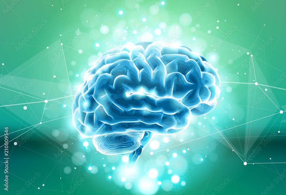 Human brain on a green technological background surrounded by information fields, neural networks, Internet webs - the concept of modern technology, biotechnology, artificial intelligence /vector draw Human brain on a green technological background surrounded by information fields, neural networks, Internet webs - the concept of modern technology, biotechnology, artificial intelligence /vector draw