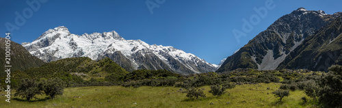 Panoramic view of Mount Cook  South Island  New Zealand