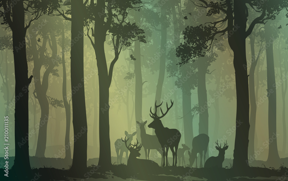 Obraz premium naturalne tło z sylwetka lasu ze stadem jeleni