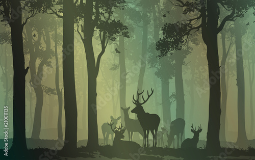 natural background with forest silhouette with herd of deer