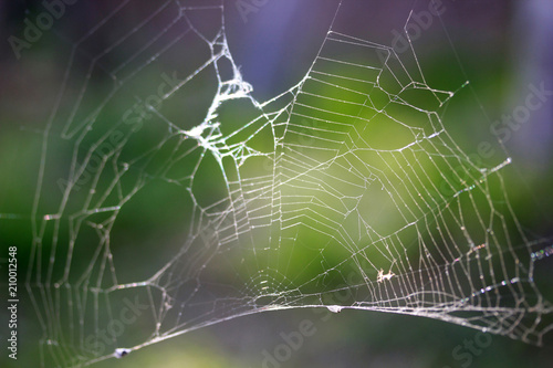 abstract spider web background