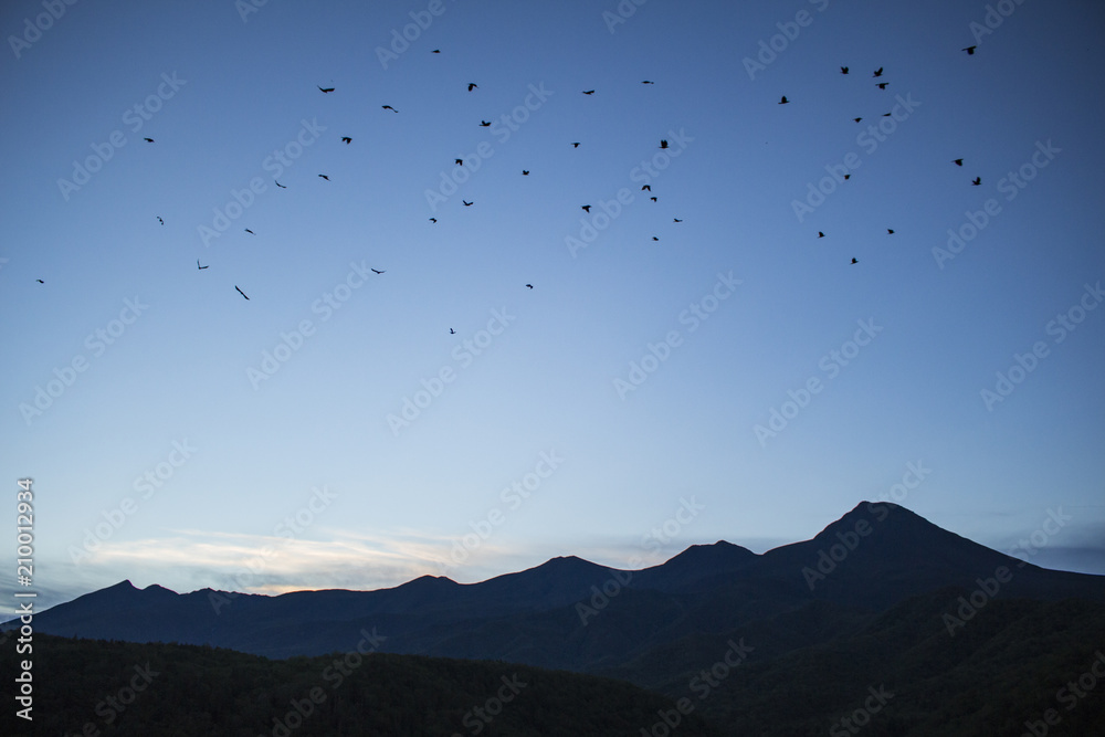 Fototapeta premium Sunrise Birds In Flight Over Mountains