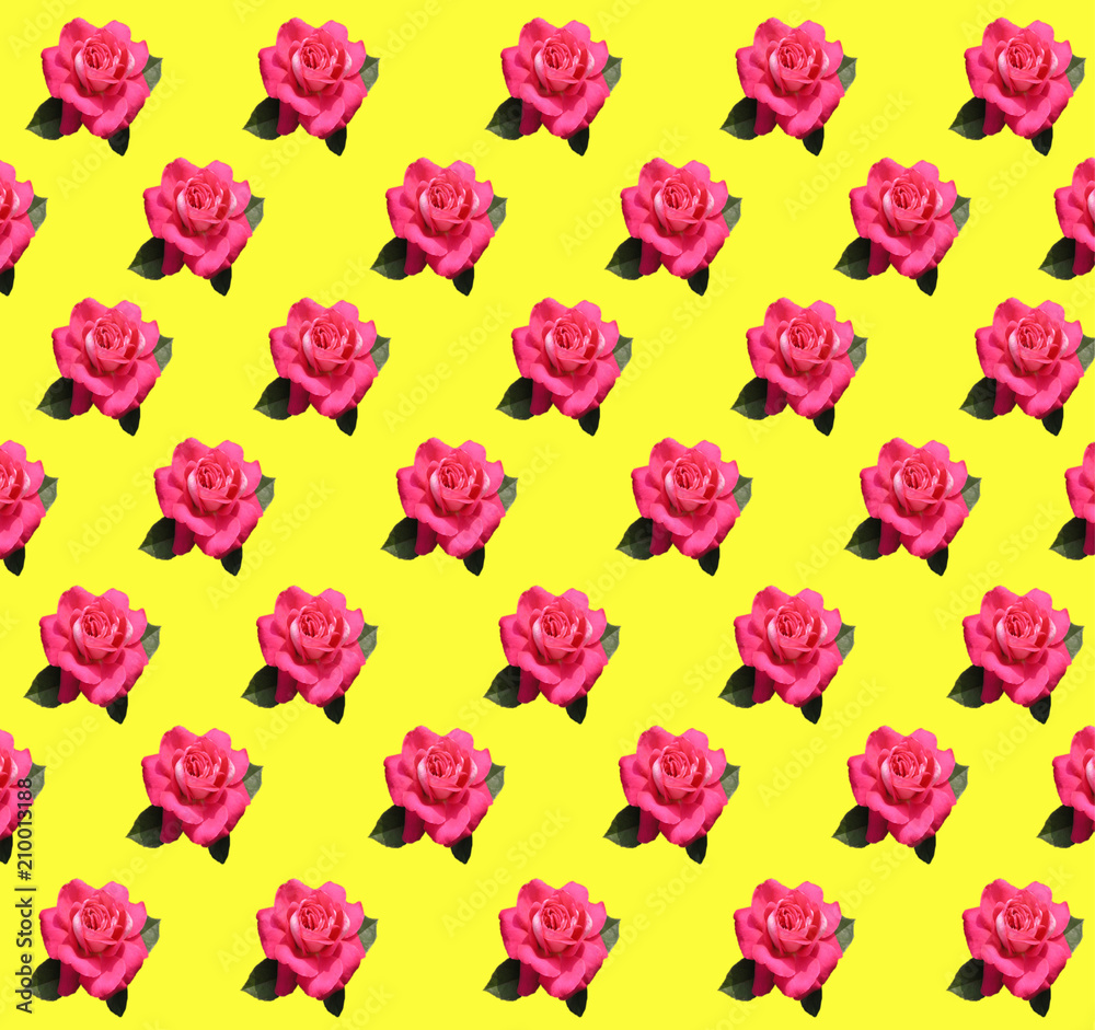 Decorative wrapping paper yellow background with live pink roses.