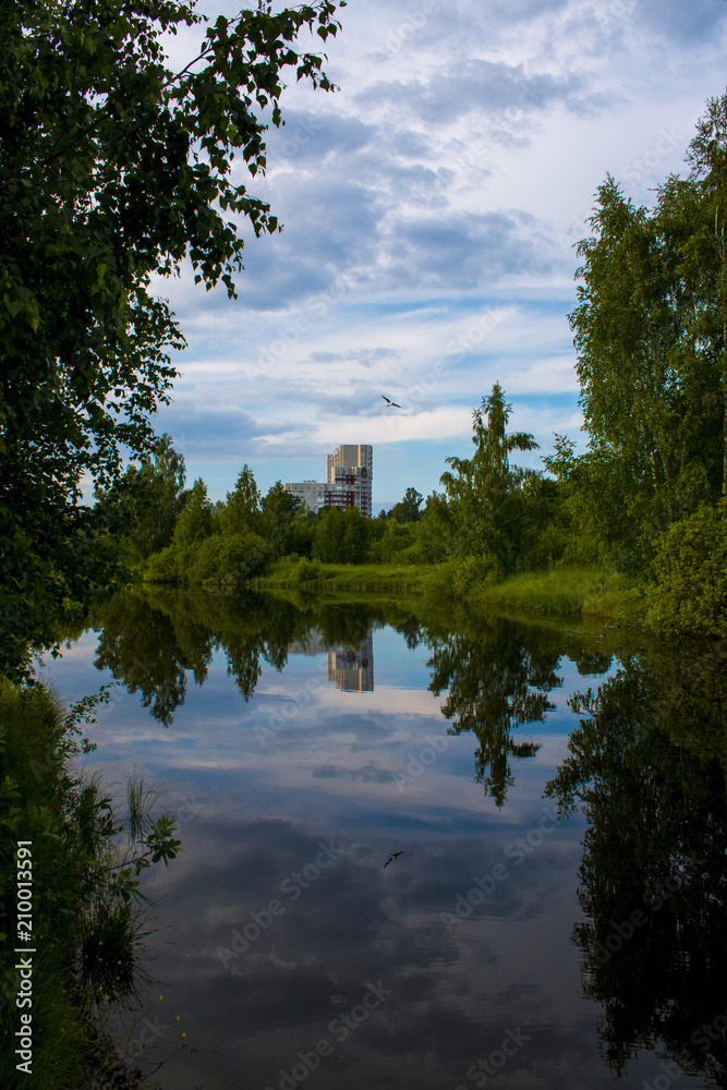 Obraz premium pond and trees