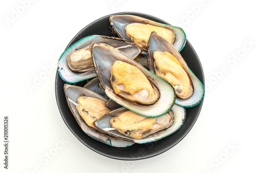 fresh mussel on white background