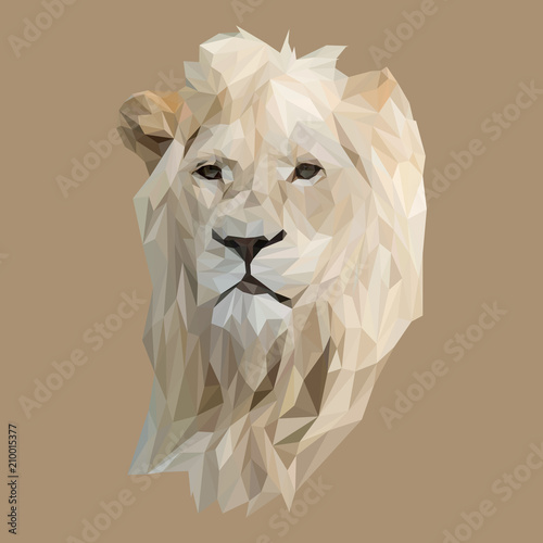 Canvas Print Lion low poly design. Triangle vector illustration.