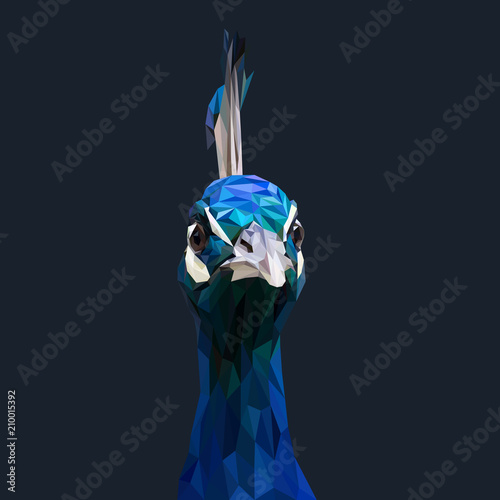 Peafowl low poly design. Triangle vector illustration.
