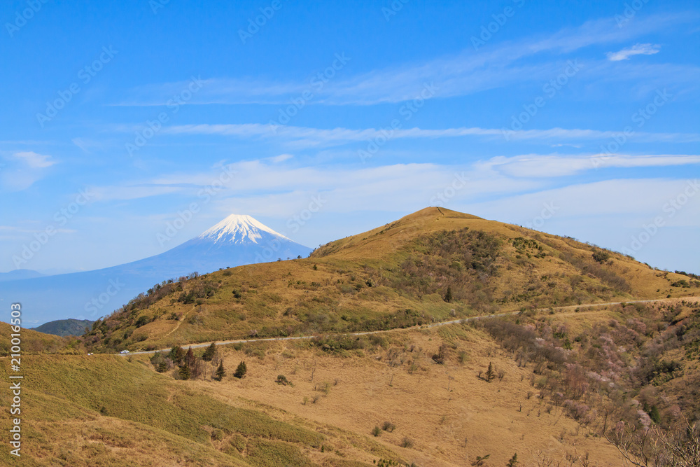 西天城高原からの富士山stock Photo Adobe Stock