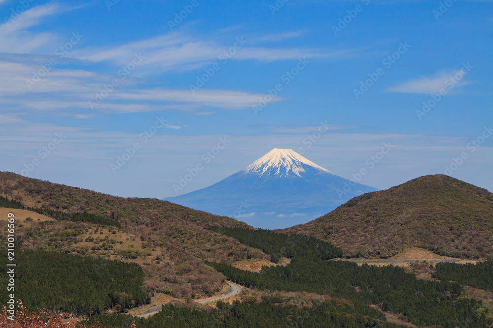 西天城高原からの富士山