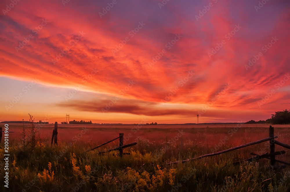 beautiful sunset in the countryside. Spaciousness of fields, flowering of flowers, old fence, red clouds.
