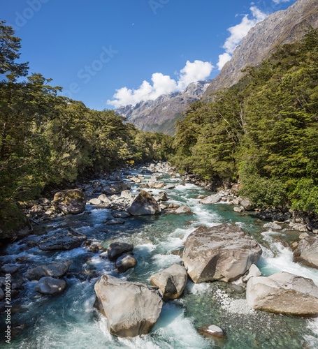 Mountain stream, South Island, New Zealand