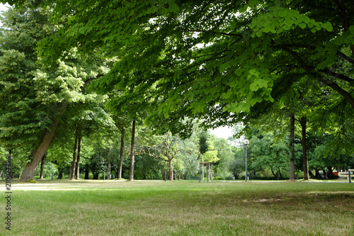 Fototapeta Naklejka Na Ścianę i Meble -  Stadtpark als Erholungsort
