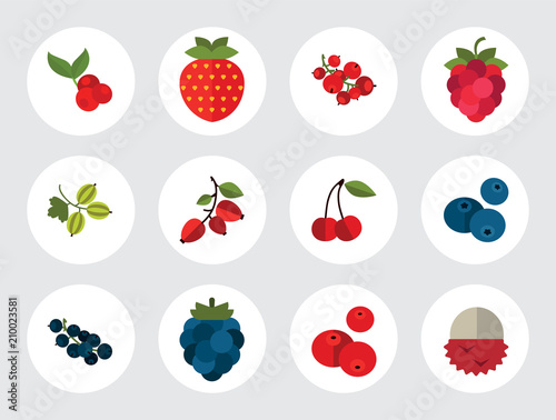 Berry Icon Set. Cranberry Black Currant Blackberry Blueberry Dogrose Gooseberry Red Currant Raspberry Strawberry Cowberry Cherry 