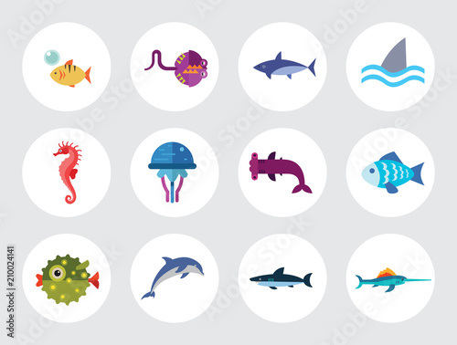 Fish icons set with dolphin, shark and seahorse. Thirteen vector icons
