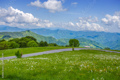 Fototapeta Naklejka Na Ścianę i Meble -  Isolated road in the countryside in spring time around Genoa (Genova) province, Italy.