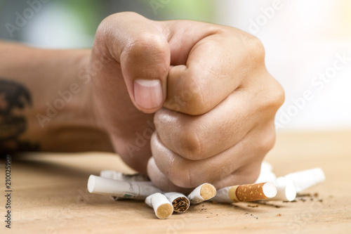 male hand destroying cigarettes - stop smoking concept