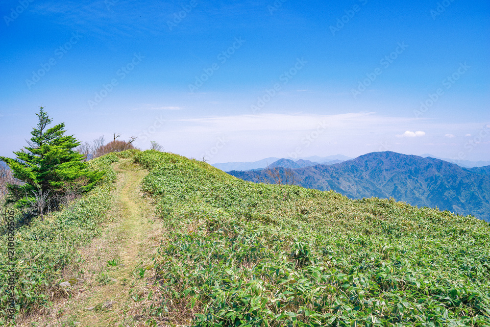 高知県の山