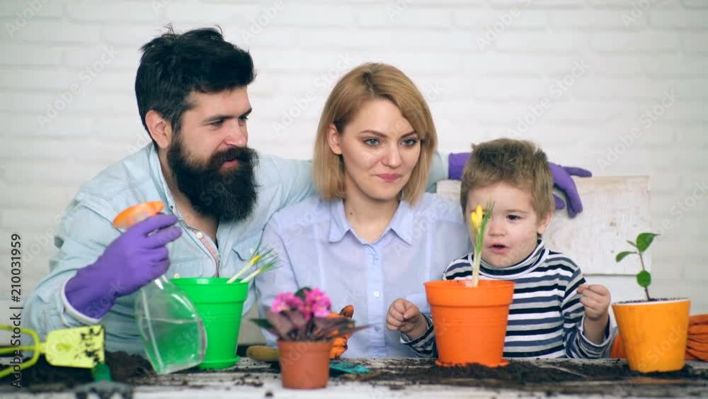 The family plant flowers in pots. Family gardening together. Happy family gardening on a sunny day. The family pours the flowers that are planted together in a pot. The family plant flowers in pots. Family gardening together. Happy family gardening on a sunny day. The family pours the flowers that are planted together in a pot.
