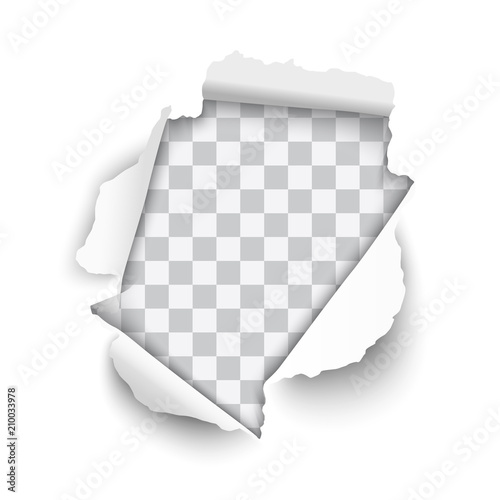 Vector realistic hole torn in white paper with rolled edges and transparent background