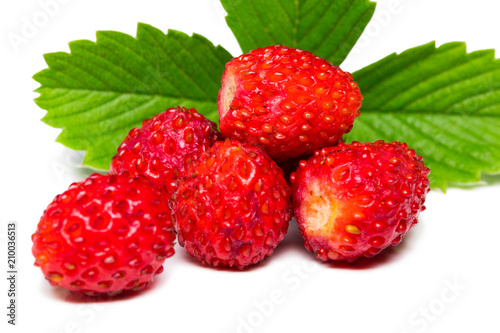 Wild strawberry isolated on white background closeup