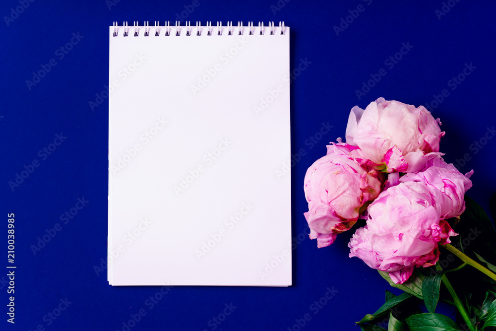 Flat lay composition with peons and empty notepad with copy space on blue background. Top view, colorful workspace concept Flat lay composition with peons and empty notepad with copy space on blue background. Top view, colorful workspace concept