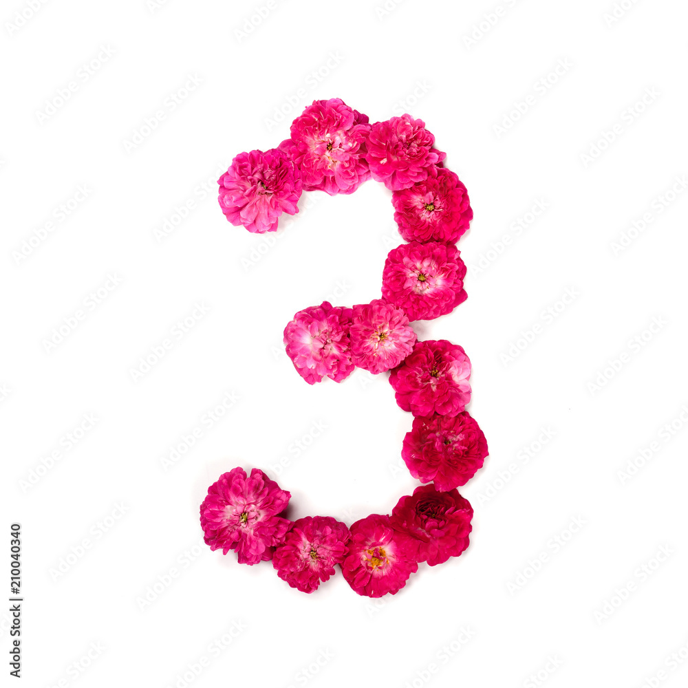 number 3 of flowers of a red and pink rose on a white background. A typographic element for design. Flower figurines