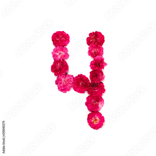 число 4 из цветов красной и розовой розы на белом фоне. Типографический элемент для дизайна. Цветочные числа, цифры