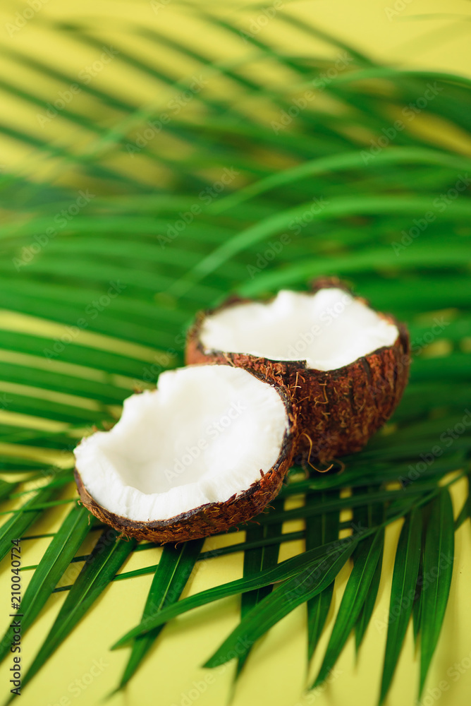 Coconut over tropical green palm leaves on yellow background. Copy space. Pop art design, creative summer concept. Raw vegan food. Coconut over tropical green palm leaves on yellow background. Copy space. Pop art design, creative summer concept. Raw vegan food.