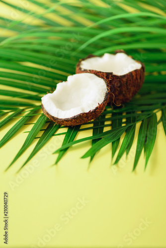 Coconut over tropical green palm leaves on yellow background. Copy space. Pop art design, creative summer concept. Raw vegan food.