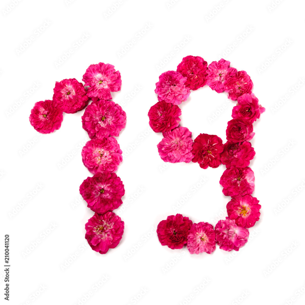 число 19 из цветов красной и розовой розы на белом фоне. Типографический элемент для дизайна. Цветочные числа, цифры, изолят, изолированный