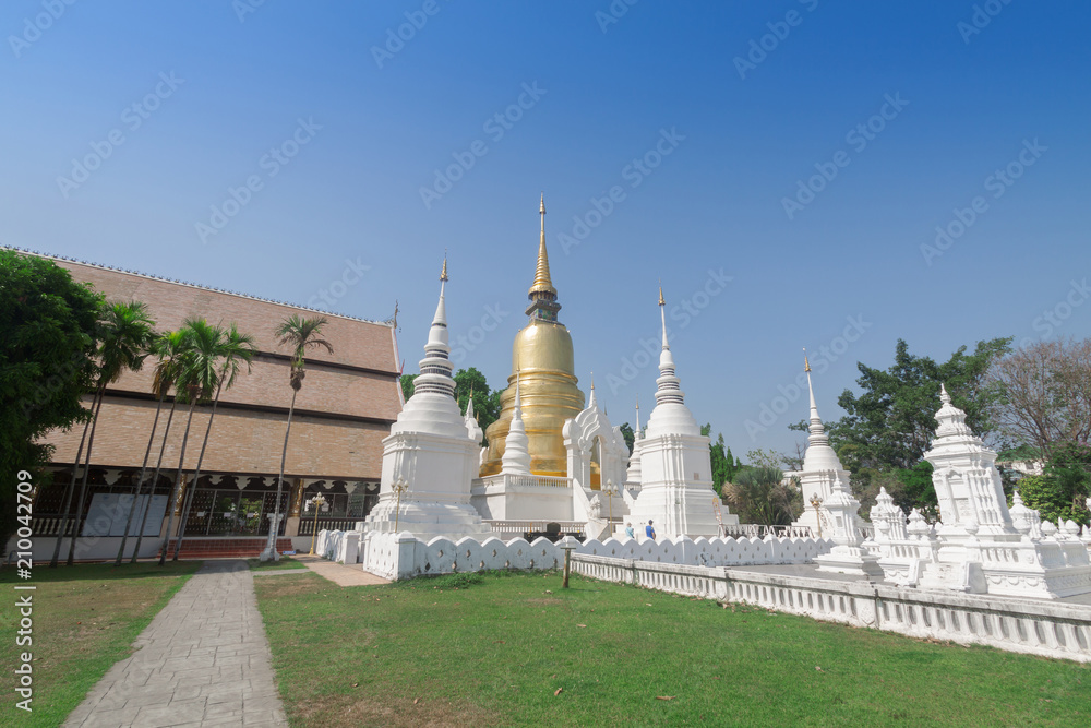 Suan dok temple  beautiful temple in chiangmai,Thailand