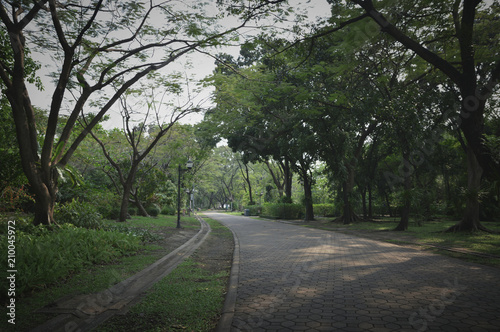 Empty stone brick walk way path with green grass and tree in public park © grapestock