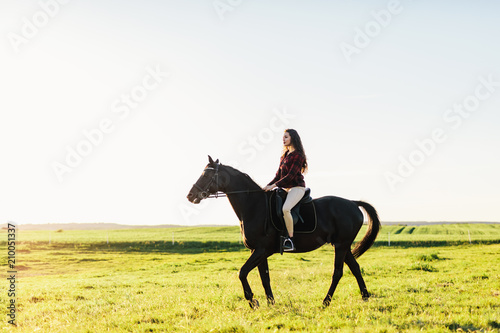 Young attractive girl riding on a bay horse.