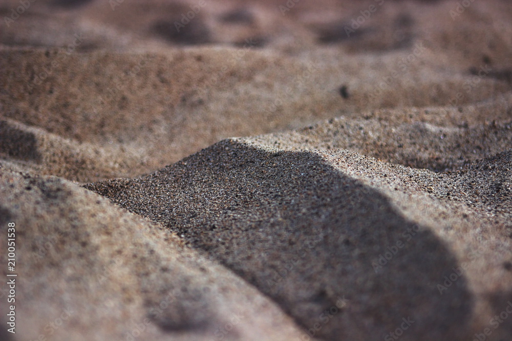 golden sand dunes. macro effect on the beach golden sand dunes. macro effect on the beach