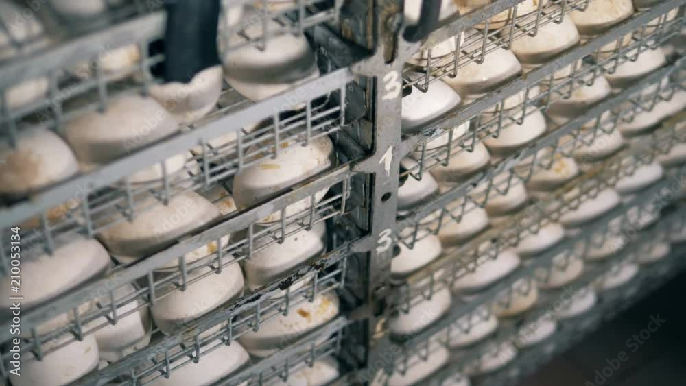 Many cages with eggs at a farm in incubator. Many cages with eggs at a farm in incubator.