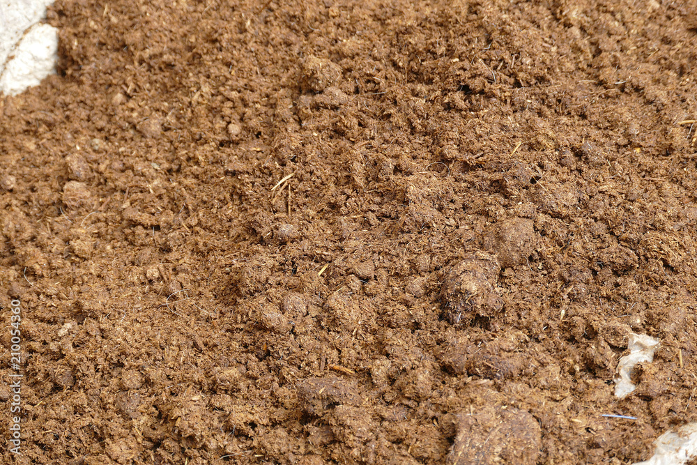 organic manure, cow manure.
organic cow manure,
organic manure, cow manure.
organic cow manure,
