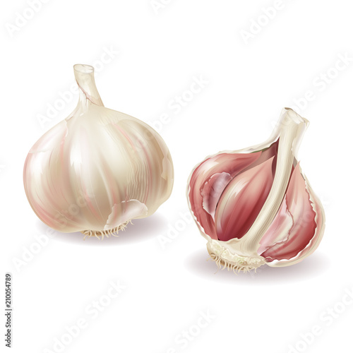 Vector 3d realistic garlic head - whole vegetable and garlic cloves, lobules in shuck, peelings. Spicy condiment, organic nutrition, isolated on white background. Fresh seasoning aroma plant.