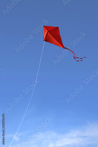 Red kite in the sky photo