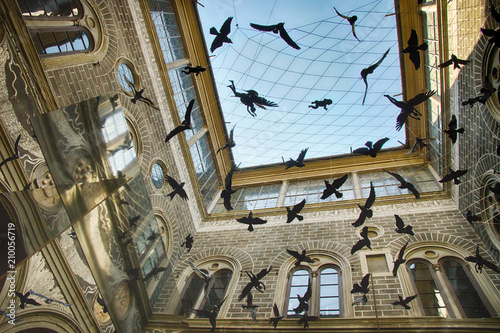 Bird models on decorated ceiling of the Courtyard of Medici Palace, by Michelozzo, in Florence, Italy  photo