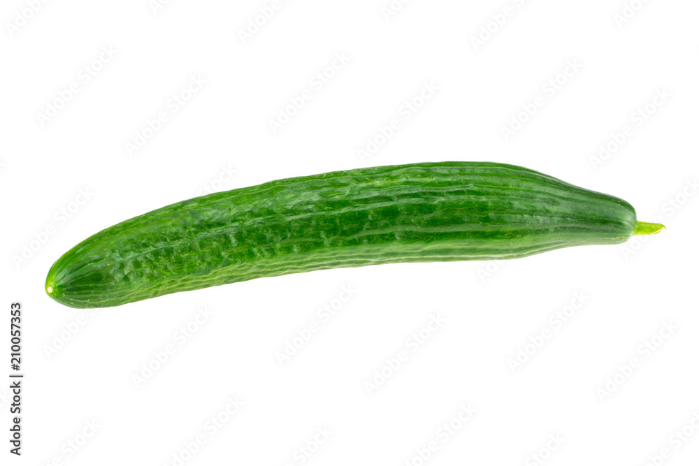 One ripe green cucumber isolated on white background. One ripe green cucumber isolated on white background.