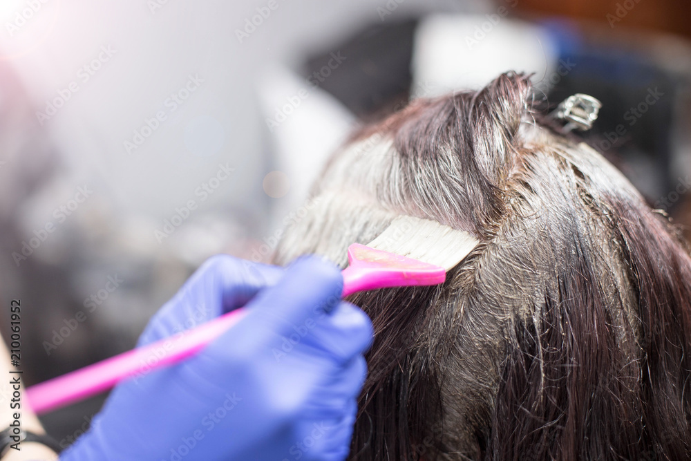 hair coloring of an elderly woman. shading of gray hair. hairdressing services. hair coloring of an elderly woman. shading of gray hair. hairdressing services.
