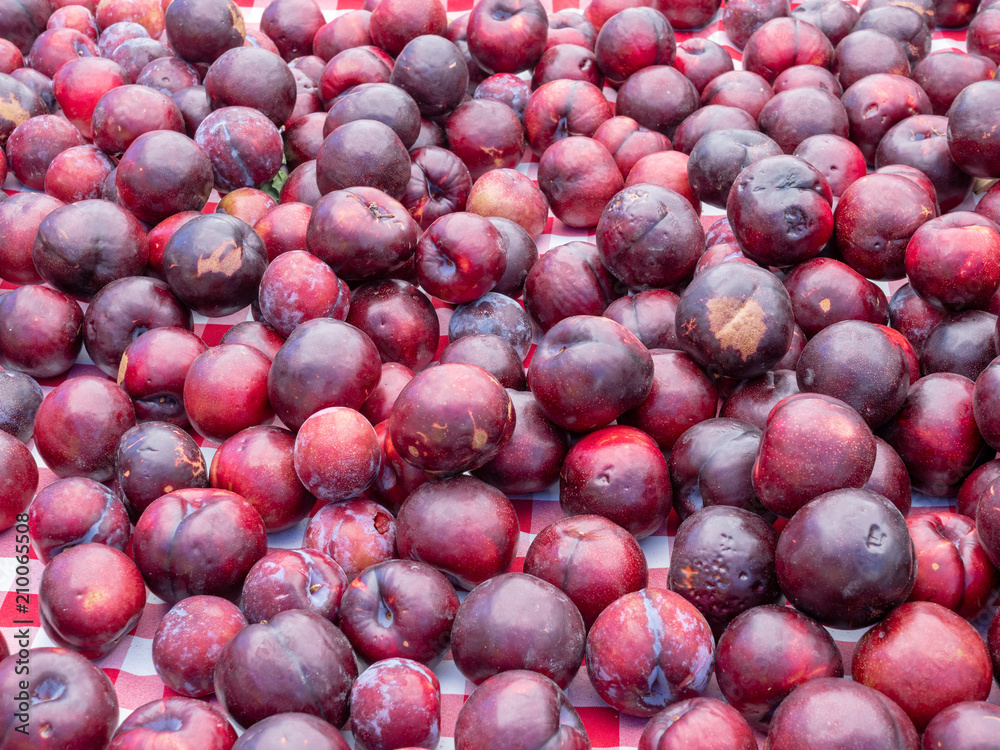 Freshly picked plums sitting on a picnic table Freshly picked plums sitting on a picnic table