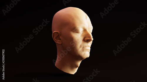 Photos White Chocolate Clay Anatomical Ecorche Human Head 3d illustration
