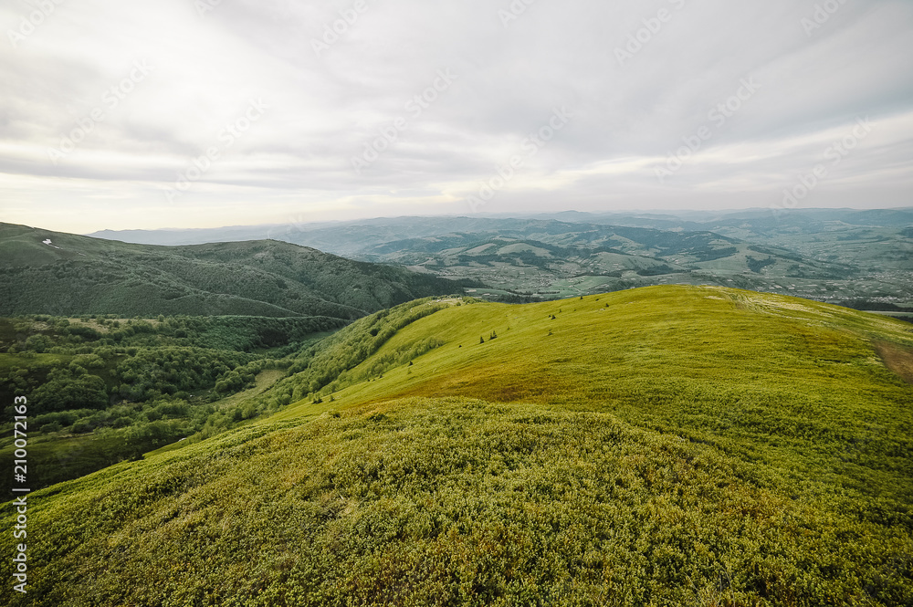 Obraz premium summer mountains green grass and blue sky landscape