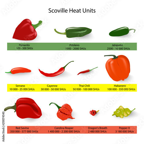 Scoville scale of chilli peppers spiciness, vector photo