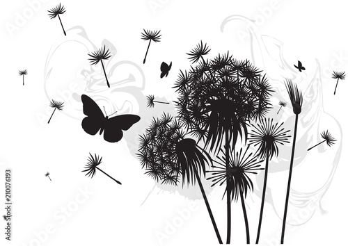 DandelionN1K