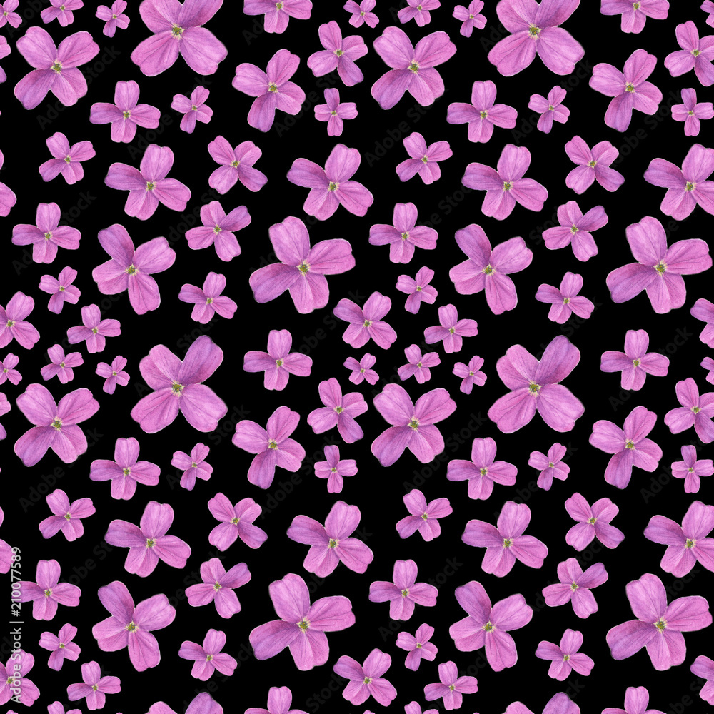 Hesperis on black background. Seamless watercolor pattern. Could be used for textile or in design